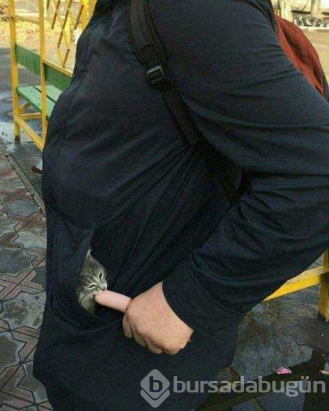 Günün en çok paylaşılan fotoğrafları