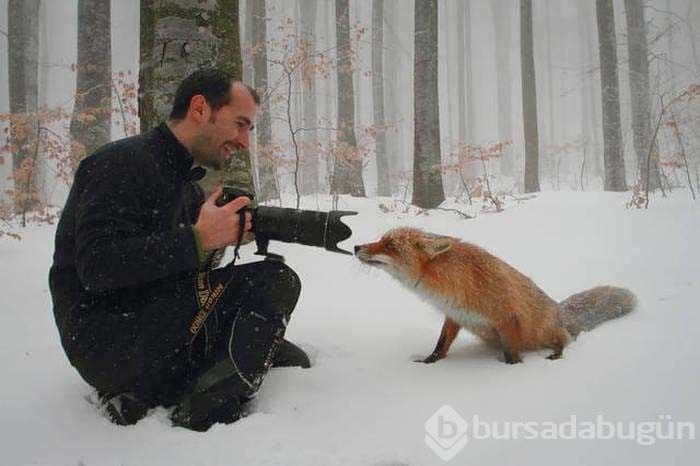 Vahşi doğa fotoğrafçısı olmak zordur!