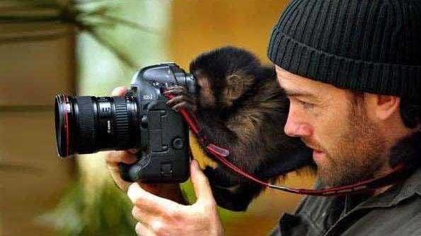 Vahşi doğa fotoğrafçısı olmak zordur!