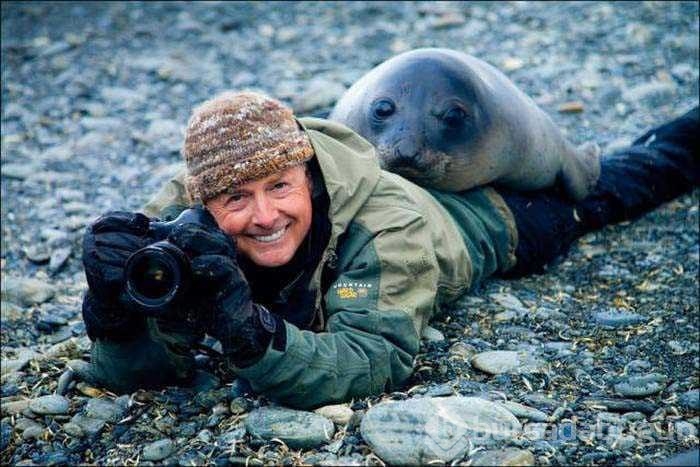 Vahşi doğa fotoğrafçısı olmak zordur!