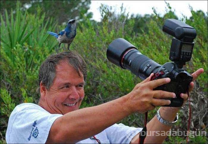 Vahşi doğa fotoğrafçısı olmak zordur!