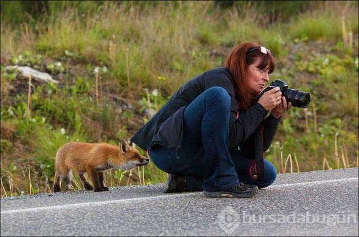 Vahşi doğa fotoğrafçısı olmak zordur!