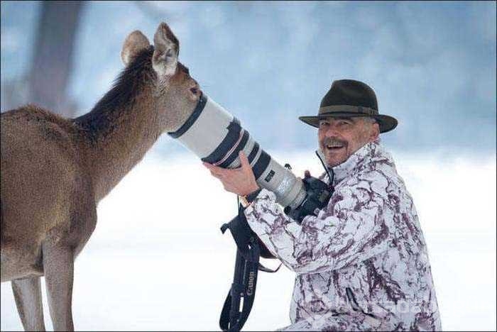 Vahşi doğa fotoğrafçısı olmak zordur!