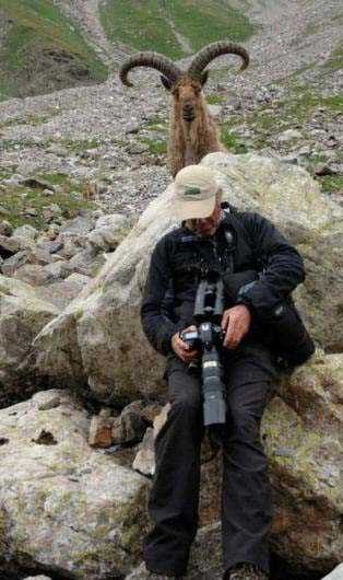 Vahşi doğa fotoğrafçısı olmak zordur!