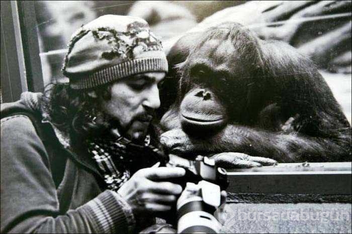 Vahşi doğa fotoğrafçısı olmak zordur!