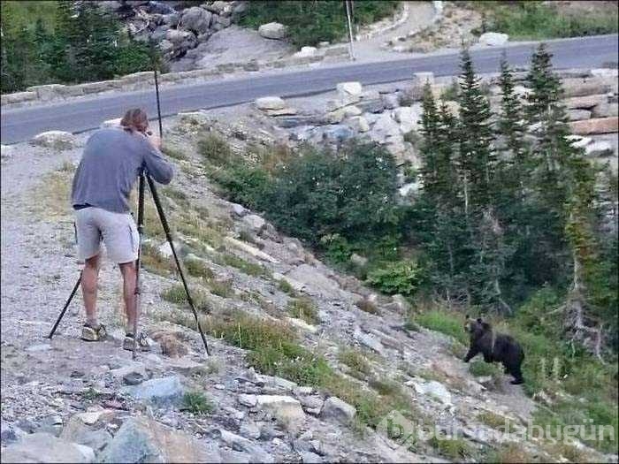 Vahşi doğa fotoğrafçısı olmak zordur!