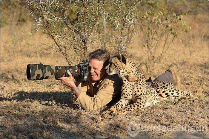 Vahşi doğa fotoğrafçısı olmak zordur!