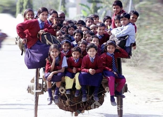 Bu köprüleri görenler çok şaşırıyor!
