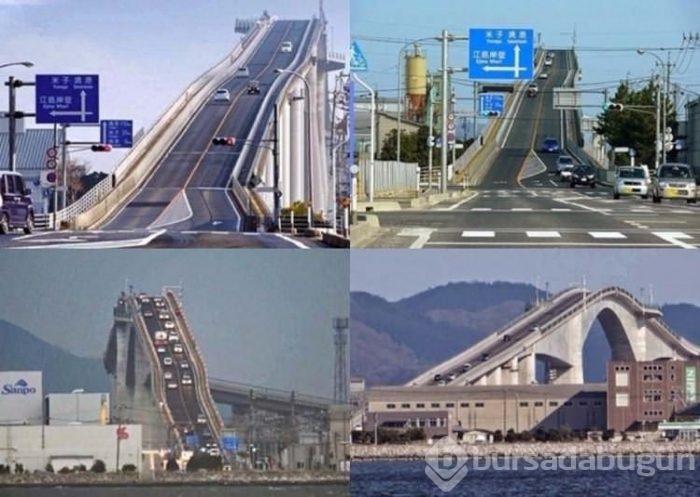 Bu köprüleri görenler çok şaşırıyor!
