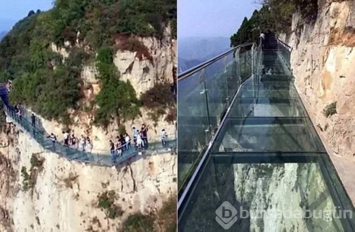 Bu köprüleri görenler çok şaşırıyor!

