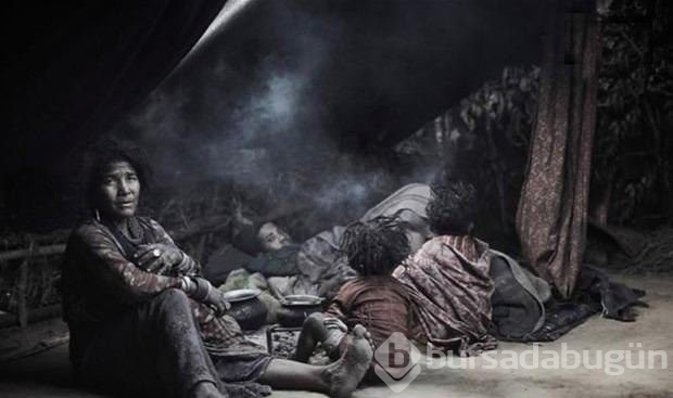 Medeniyetin göbeğinde doğal yaşam!
