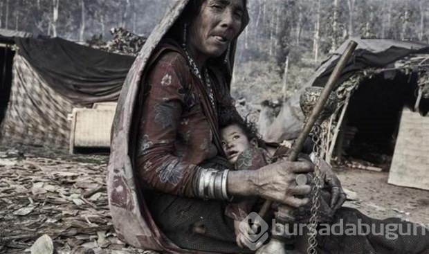 Medeniyetin göbeğinde doğal yaşam!