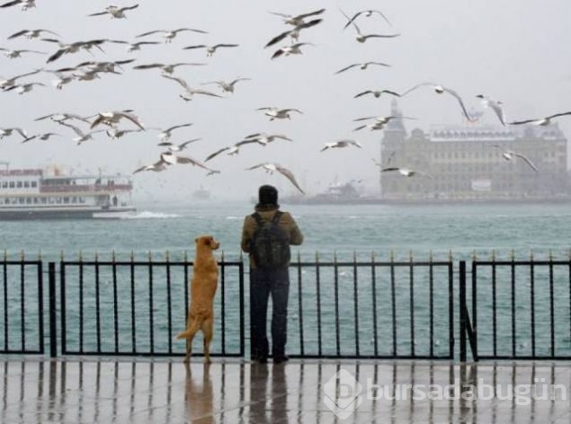 Günün en çok paylaşılan fotoğrafları