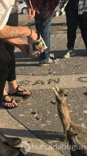 Günün en çok paylaşılan fotoğrafları