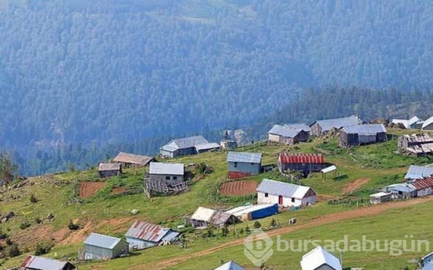 Türkiye'nin il il 2018 nüfusu!
