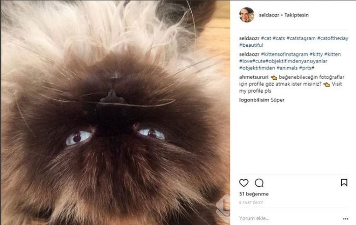 Ünlülerin Instagram paylaşımları (21.02.2018)