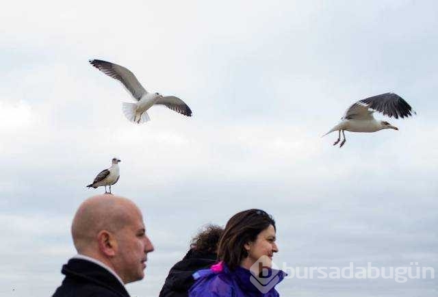 Günün en çok paylaşılan fotoğrafları
