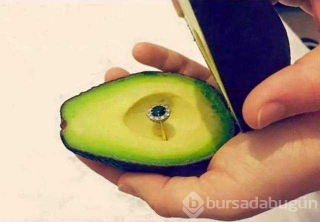 Günün en çok paylaşılan fotoğrafları
