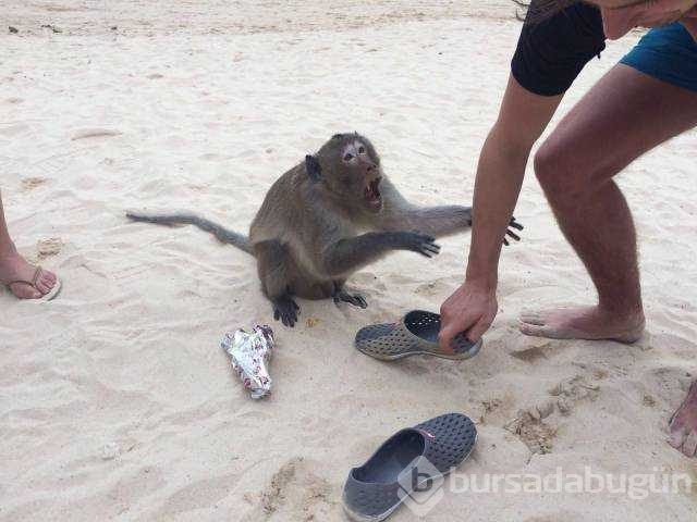 Günün en çok paylaşılan fotoğrafları
