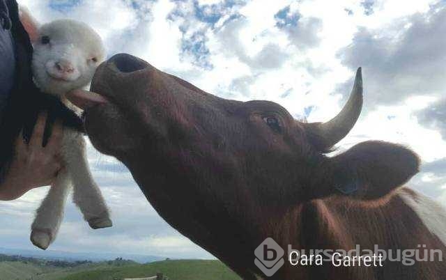 Günün en çok paylaşılan fotoğrafları
