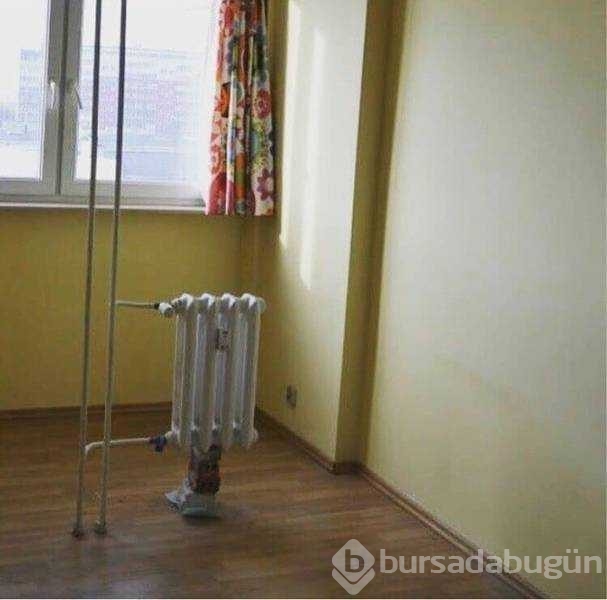 Günün en çok paylaşılan fotoğrafları
