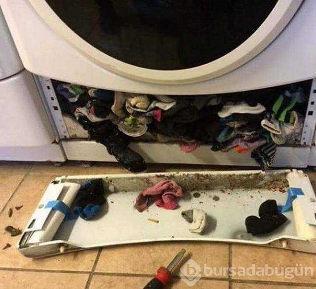 Günün en çok paylaşılan fotoğrafları

