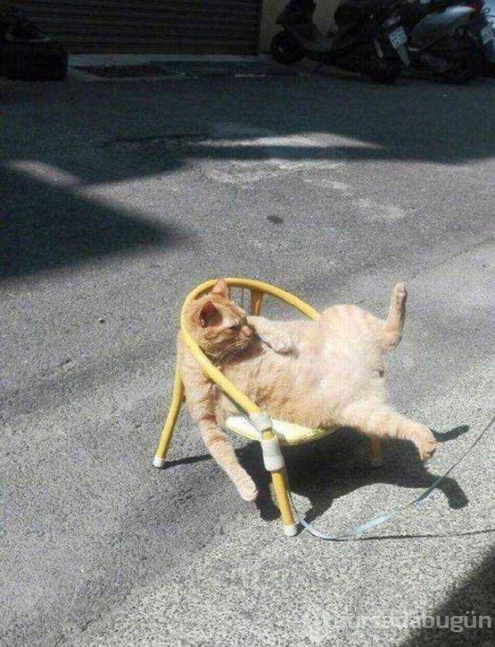 Günün en çok paylaşılan fotoğrafları
