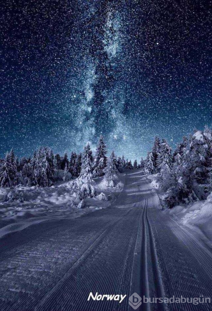 Günün en çok paylaşılan fotoğrafları
