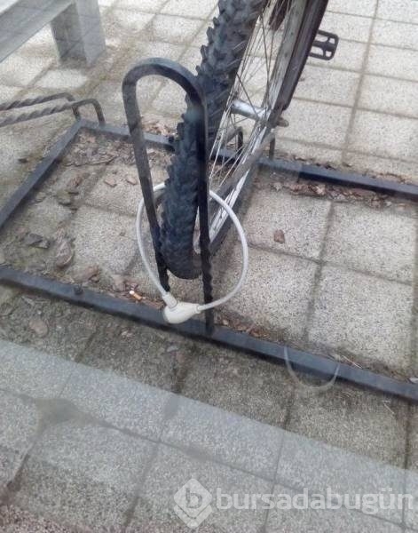 İnternetin çılgın kareleri!