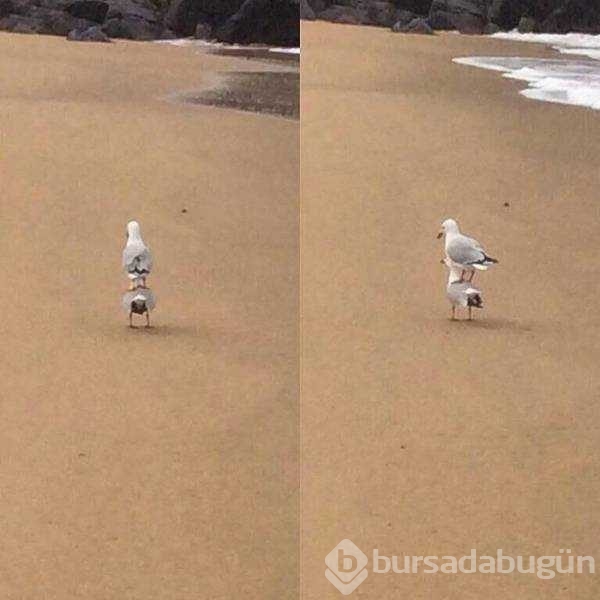 Günün en çok paylaşılan fotoğrafları