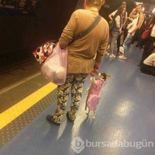 Günün en çok paylaşılan fotoğrafları