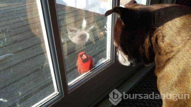 Günün en çok paylaşılan fotoğrafları