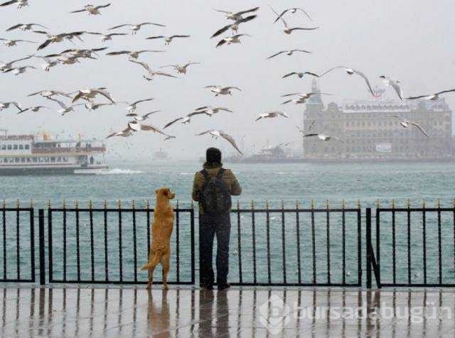 Günün en çok paylaşılan fotoğrafları