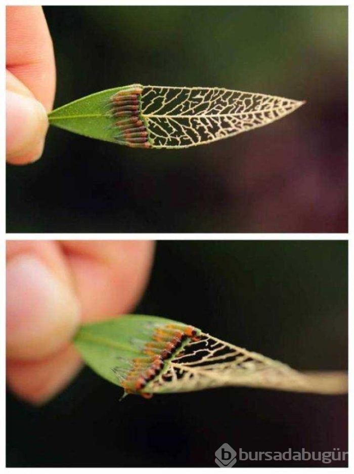 Günün en çok paylaşılan fotoğrafları