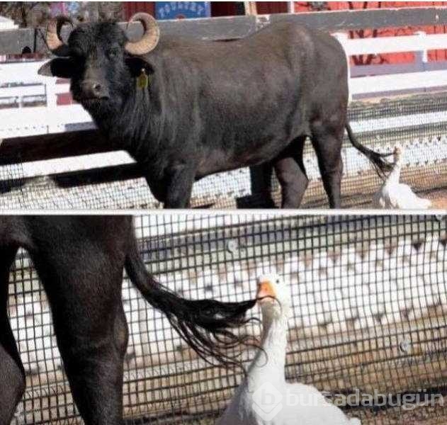 Günün en çok paylaşılan fotoğrafları