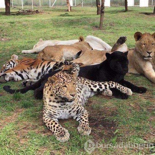 Günün en çok paylaşılan fotoğrafları