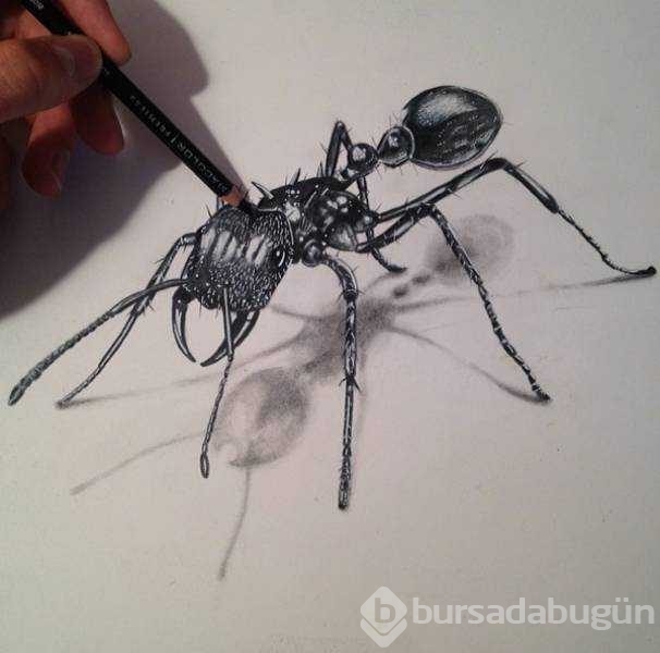 Günün en çok paylaşılan fotoğrafları