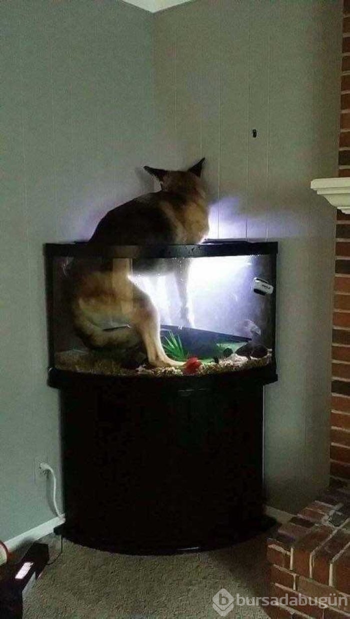 Günün en çok paylaşılan fotoğrafları