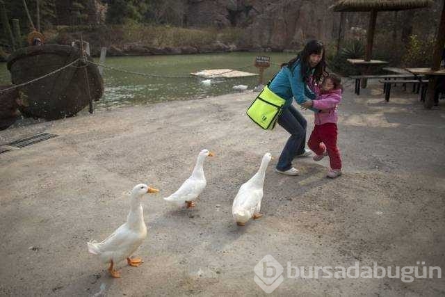 Günün en çok paylaşılan fotoğrafları
