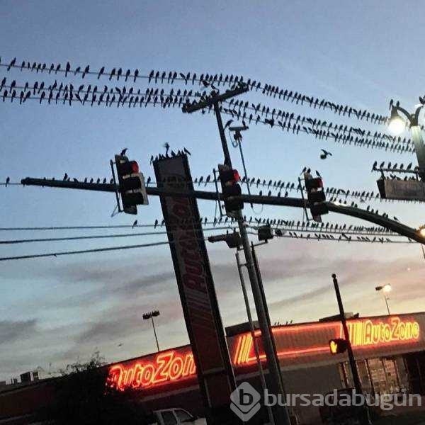 Günün en çok paylaşılan fotoğrafları