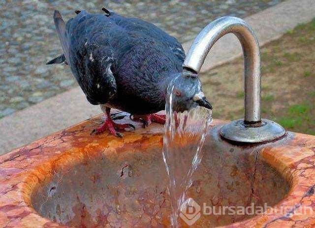 Günün en çok paylaşılan fotoğrafları