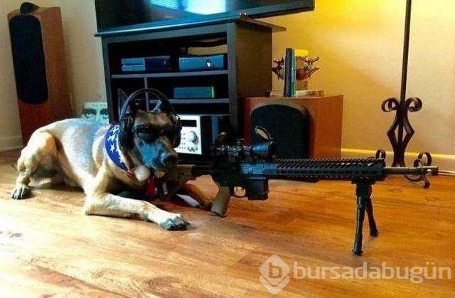 Günün en çok paylaşılan fotoğrafları