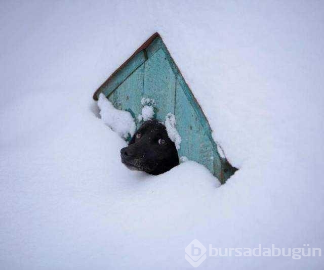 Günün en çok paylaşılan fotoğrafları