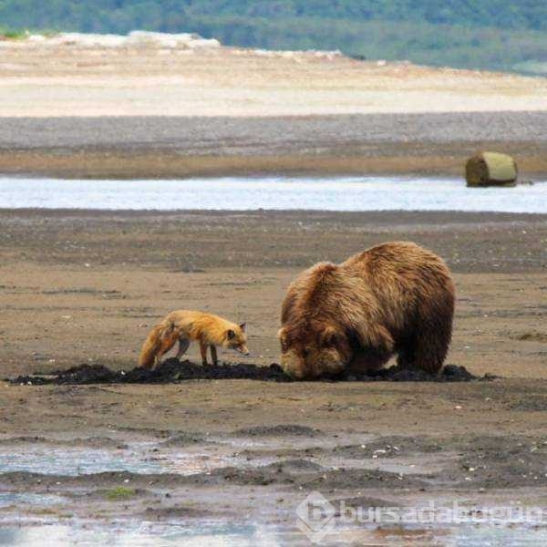 Günün en çok paylaşılan fotoğrafları