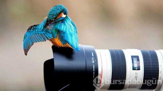 Günün en çok paylaşılan fotoğrafları