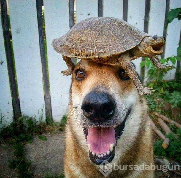 Günün en çok paylaşılan fotoğrafları