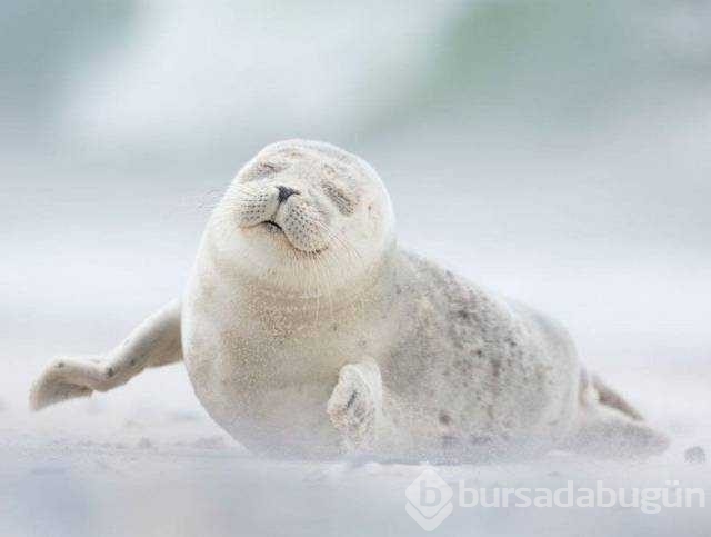 Günün en çok paylaşılan fotoğrafları