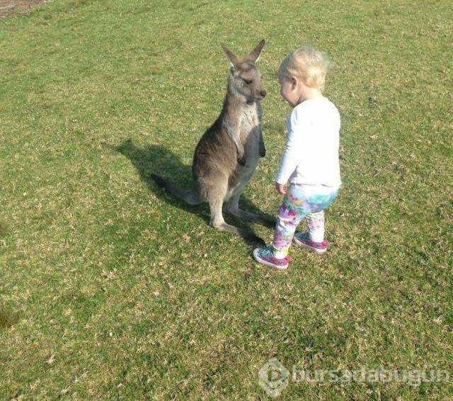 Günün en çok paylaşılan fotoğrafları
