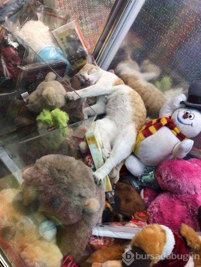 Günün en çok paylaşılan fotoğrafları