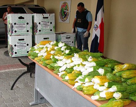 Kaçakçıların akıl almaz yöntemleri